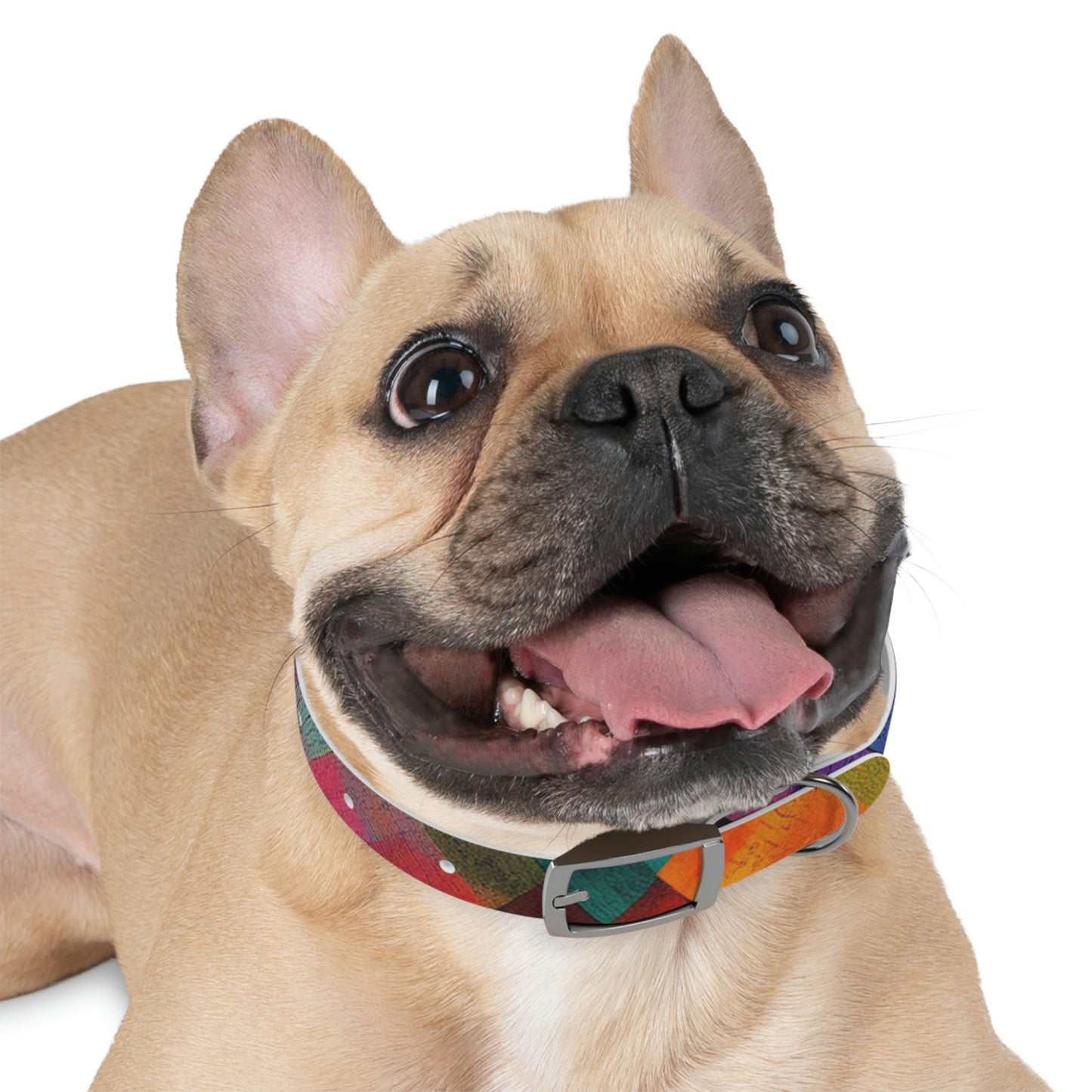 Rainbow Hatch Collar