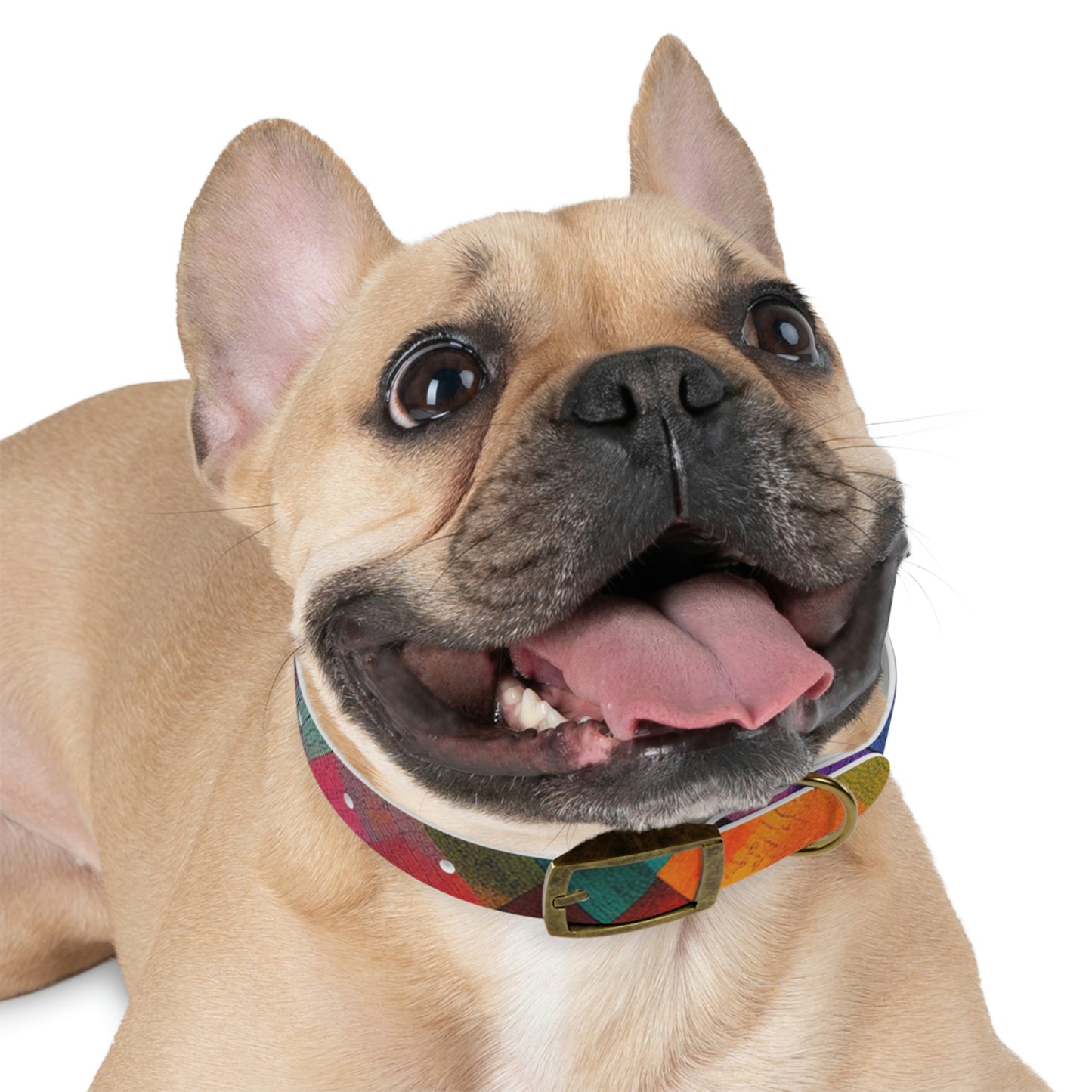Rainbow Hatch Collar