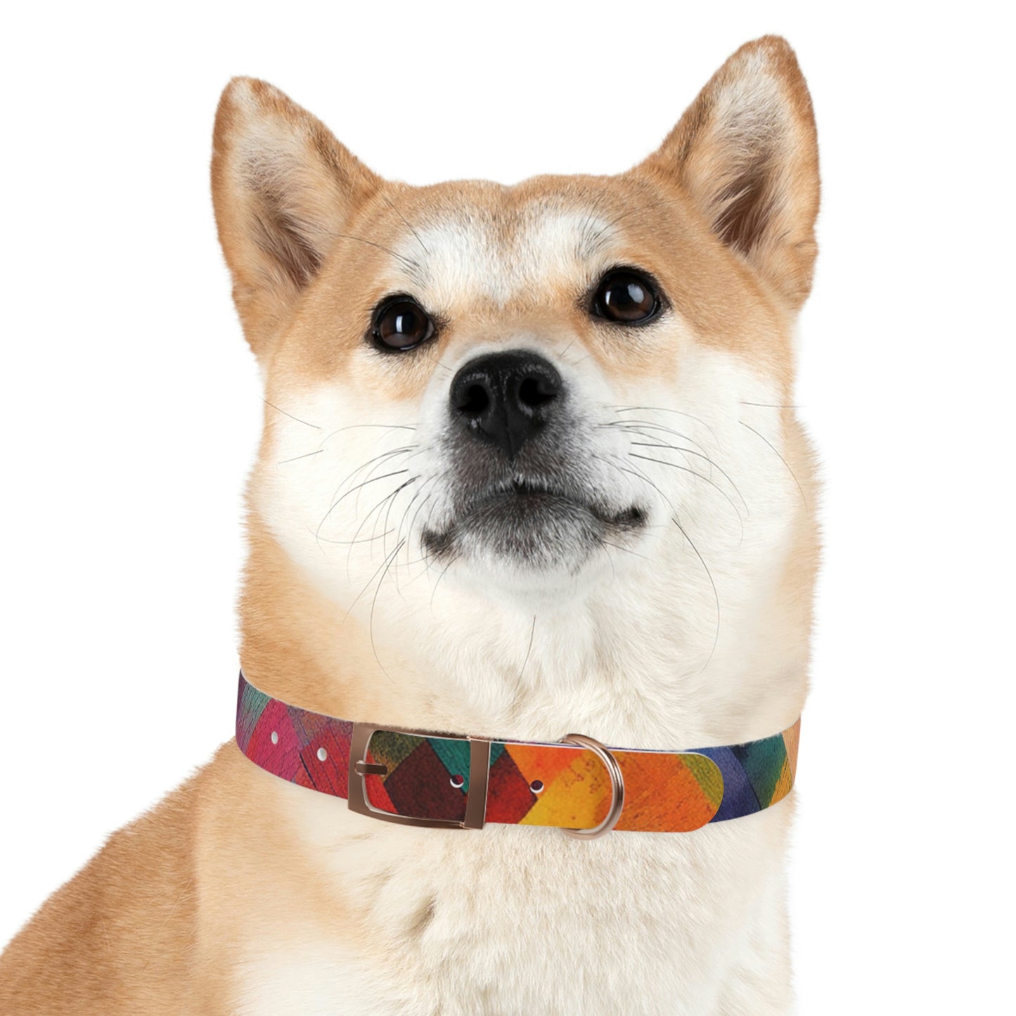 Rainbow Hatch Collar