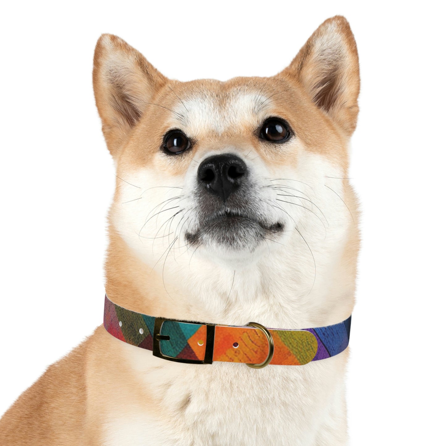 Rainbow Hatch Collar